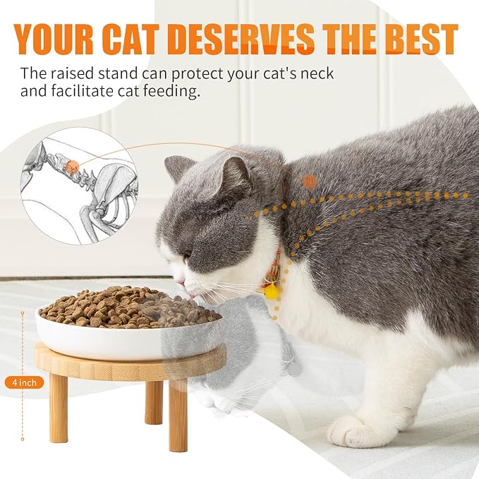 Lusifaco Shallow Elevated Cat Bowls,5.9 Inch Wide Raised Ceramic Cat Dishes with Bamboo Stand, Whisker Friendly Pet Water or Food Plates Feeding Station for Indoor Cats, Kitten(Green,Set of 1)