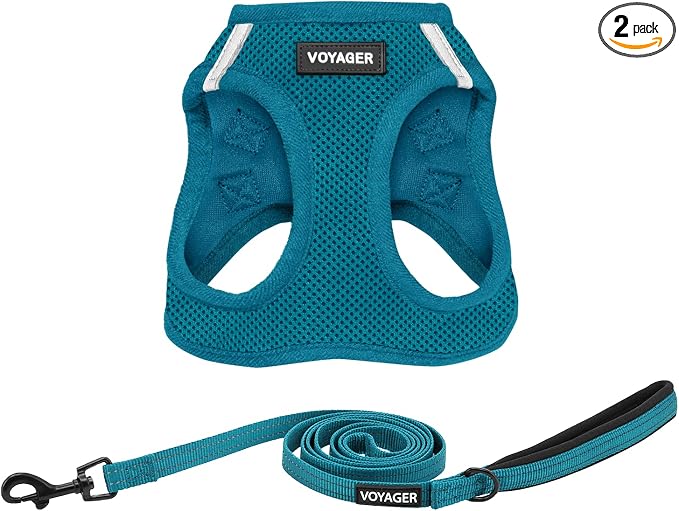 Best Pet Supplies Voyager Step-in Air All Weather Mesh Harness and Reflective Dog 5ft Leash Combo with Neoprene Handle, for Small, Medium and Large Breed Puppies - Turquoise, X-Large