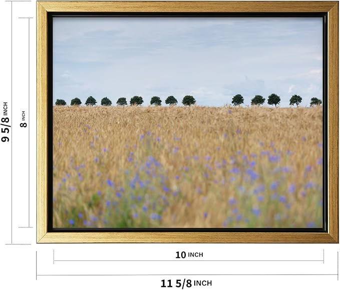 Monem Art Golden Meadow Horizon Landscape Print - Minimalist Nature Photography Poster - Wall Decor for Living Room, Bedroom or Office - 8x10 Gold Framed CANVAS Wall Art by Mareike Bohmer