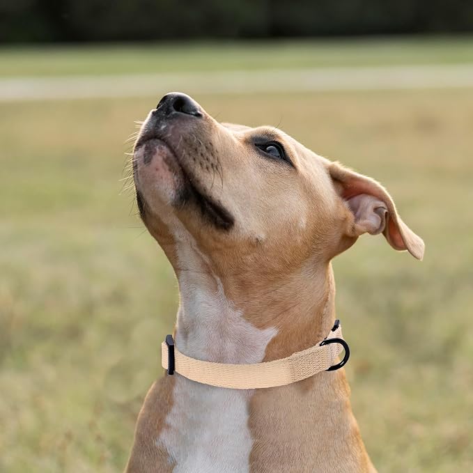 Mile High Life Soft & Strong Poly Cotton Adjustable Dog Collar with Quick Release Buckle for Small to Large Dogs(Khaki, Medium Neck 13"-17")