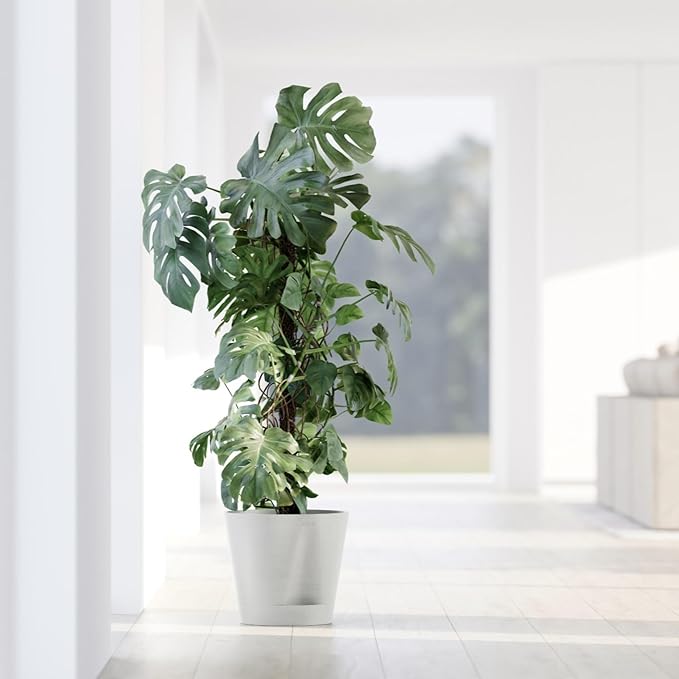Ecopots Venice 2 Durable Modern Round Indoor/Outdoor Recycled-Based Composite Flower Pot Planter w/Water Reservoir, White Grey, 16"