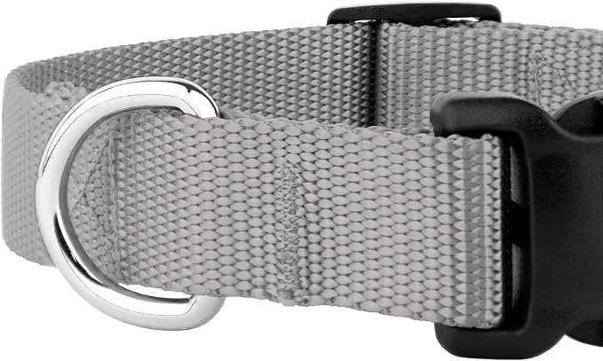 Country Brook Petz - Everyday Nylon Dog Collar and Leash - 10+ Cool Colors (3/4 Inch, Small, Silver)