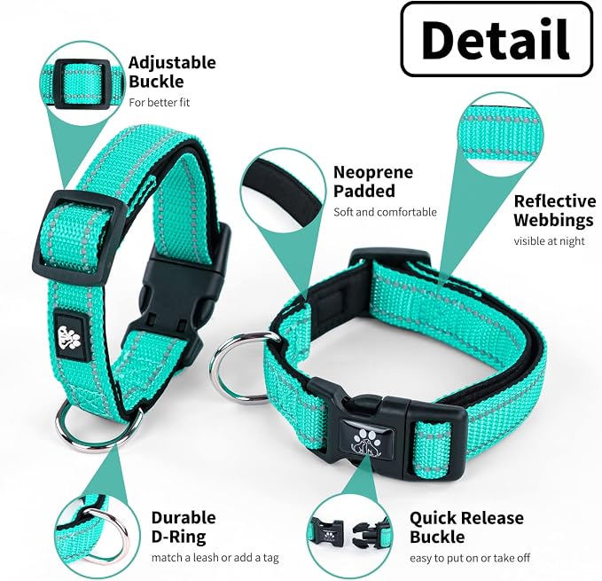 NESTROAD Dog Collar and Leash Set,Reflective Dog Collars with Quick Release Buckle,Adjustable Nylon Pet Collar for Small Medium Large Dogs(Large,Teal)