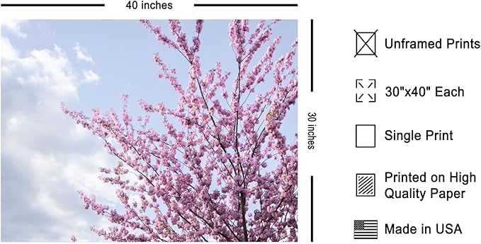 Monem Art Cherry Blossom Spring Sky Photography Print - Floral Nature Art Poster - Wall Decor for Living Room, Bedroom or Office - 30x40 Unframed Wall Art by Mareike Bohmer