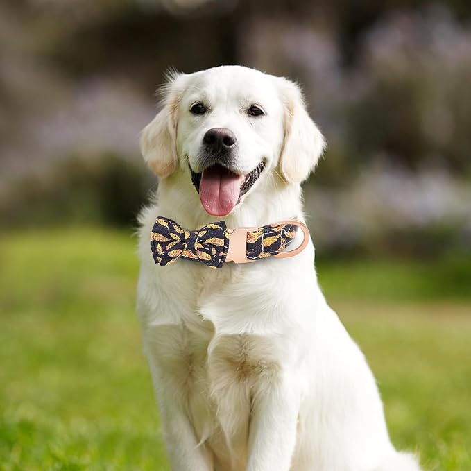 Dog Collar and Leash Set Adjustable Girls Puppy Floral Collars with Bow Tie for Small Medium Large Dogs(L, Feather)