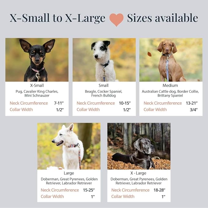 Lucky Love Dog - Adjustable Dog Collar with Easy Click Buckle for Medium Dogs, Durable, & Comfortable for Male & Female Dogs, Pet Collar for Puppies & Adult Ones - Nacho, Medium
