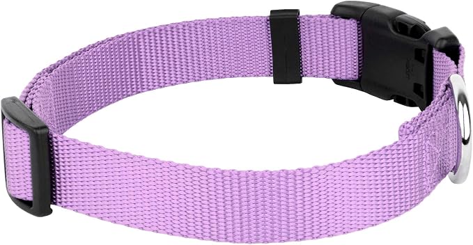 Country Brook Petz - Everyday Nylon Dog Collar and Leash - 10+ Cool Colors (3/8 Inch, Extra Small, Lavender)