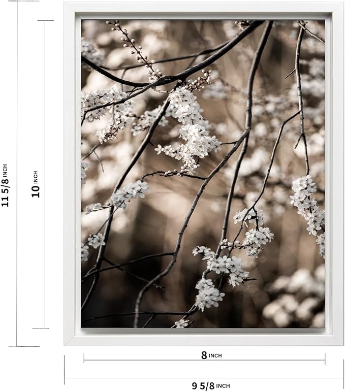 Monem Art Cherry Blossom Branch Photography Print - Moody Botanical Nature Art Poster - Wall Decor for Living Room, Bedroom or Office - 8x10 White Framed CANVAS Wall Art by Mareike Bohmer