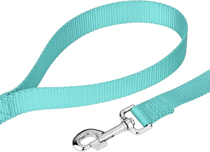 Country Brook Petz - Everyday Nylon Dog Collar and Leash - 10+ Cool Colors (1 Inch, Extra Large, Light Cyan)