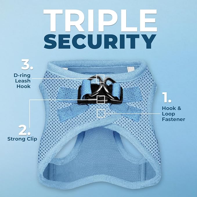 Best Pet Supplies Voyager Step-in Air All Weather Mesh Harness and Reflective Dog 5ft Leash Combo with Neoprene Handle, for Small, Medium and Large Breed Puppies - Baby Blue, Medium