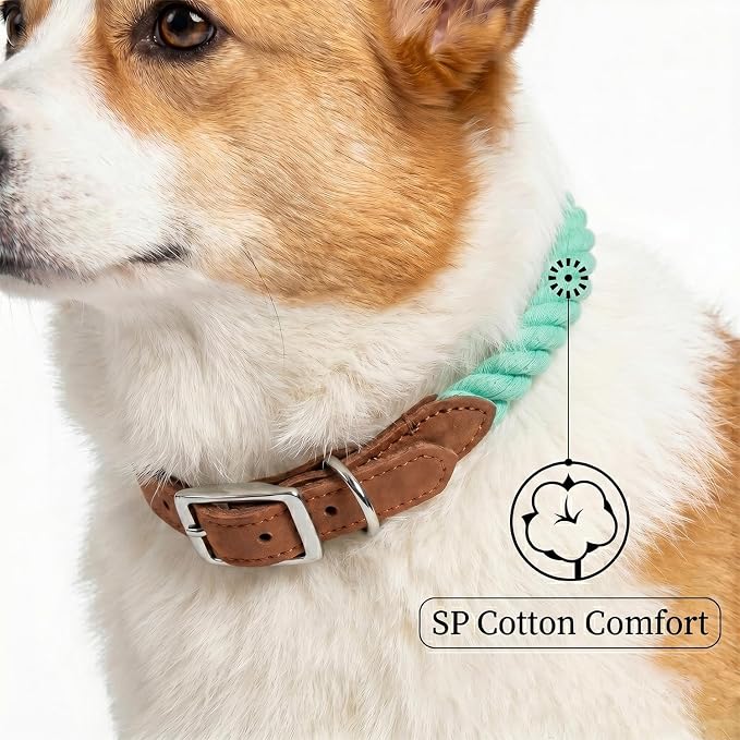 Mile High Life Genuine Leather Dog Collar, Durable Braided Cotton Rope Collar with Metal Pin Buckle for Small Medium Large Dogs (Green, M Neck 15"-18")