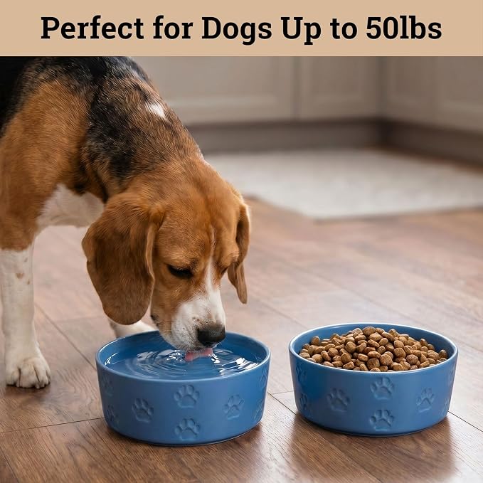 Ceramic Dog Bowl Set of 2 with Anti-Skid Base - 6.5" Wide x 2.5" Tall Ceramic Dog Bowls Medium Sized Dogs - 3.8 Cup Capacity Food and Water Bowls for Dogs - Rubber Bottom Pet Bowl Set of 2 Medium Size