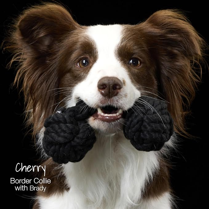 Pet Passion Brady The Rope Tug Toy 3-Pack Organic Cotton Dog Rope Pull Toys for All Pet Breeds, Sandy Chic, One Size