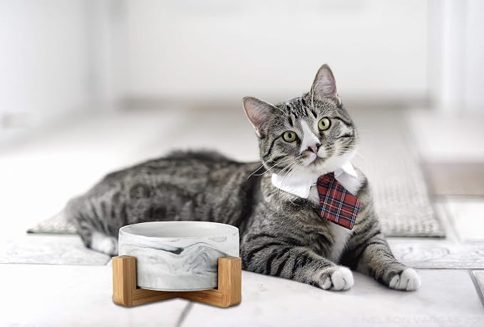Ceramic Pet Bowls with Stand - Dog Cat Water Bowl and Food Dish -Heavy Weighted & No Tip Over Pet Comfort Feeding Bowls -Dishwasher Safe & Easy to Clean
