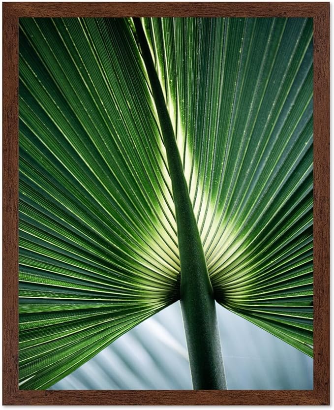 Monem Art Tropical Palm Leaf Macro Photography Print - Minimalist Botanical Nature Art Poster - Wall Decor for Living Room, Bedroom or Office - 16x20 Brown Framed Wall Art by Mareike Bohmer