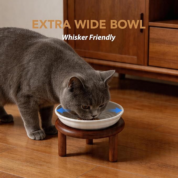 Havniva Elevated Cat Bowls Raised Ceramic Cat Bowl, 5.7” Wide Opening Cat Food Bowl Whisker Friendly Cat Dish Anti-Slip with Wood Stand, Shallow Pet Food & Water Bowl for Indoor Cats