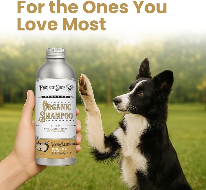 Project Sudz Hypoallergenic Dog Shampoo – Oatmeal & Honey | Extra Gentle, Unscented Pet Shampoo for Sensitive Skin | Safe for Puppies, Eco-Friendly & Made in USA
