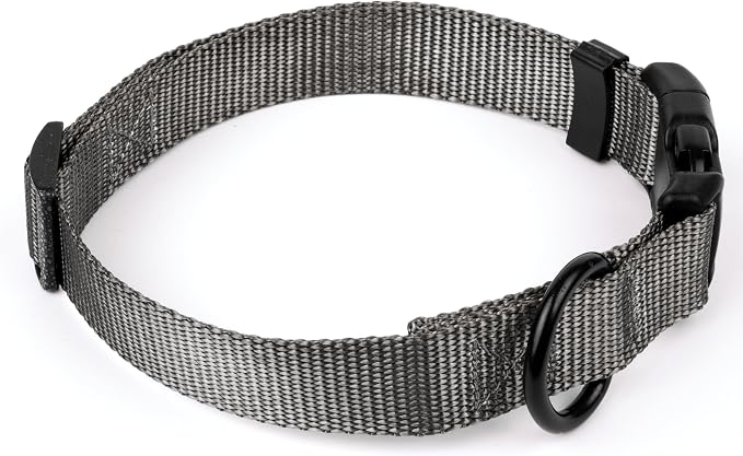 Country Brook Petz - Everyday Nylon Dog Collar and Leash - 10+ Cool Colors (1 Inch, Extra Large, Charcoal)