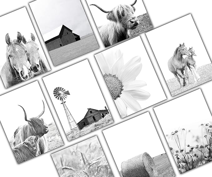 Modern Farmhouse Greeting Cards - Set of 10 All Occasion 5x7 Note Cards with Envelopes. Blank Inside. Assorted Black & White Photos Including Horses, Cows, Barn, Daisies, Windmill and More.