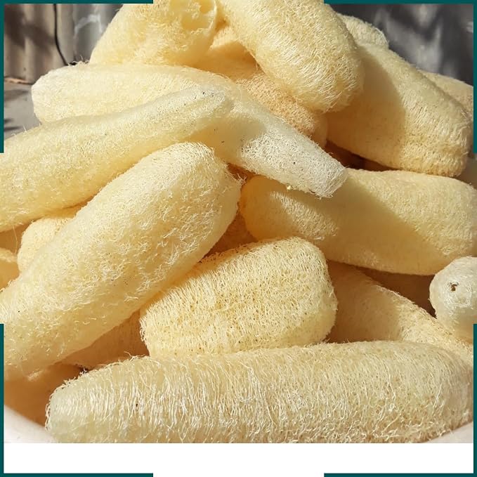 10 Pcs (5 – 7 Inches) Shower Loofah Exfoliating Body Scrubber | Natural Loofah Sponge | Bath for Loofah for Men and Women | Pack of 10