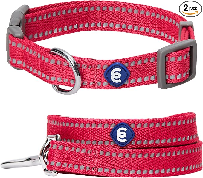 Blueberry Pet Essentials Matching Dog Collar & Leash Set | Pastel Reflective Adjustable Collar with 5 ft Lead for Medium Dogs, Very Berry