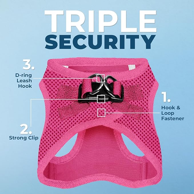 Best Pet Supplies Voyager Step-in Air All Weather Mesh Harness and Reflective Dog 5ft Leash Combo with Neoprene Handle, for Small, Medium and Large Breed Puppies - Fuchsia, X-Small