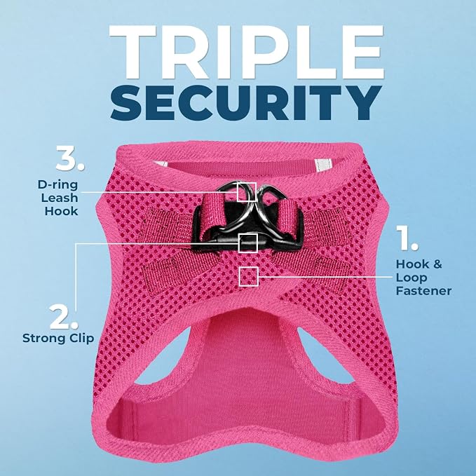 Best Pet Supplies Voyager Step-in Air All Weather Mesh Harness and Reflective Dog 5ft Leash Combo with Neoprene Handle, for Small, Medium and Large Breed Puppies - Fuchsia, Small