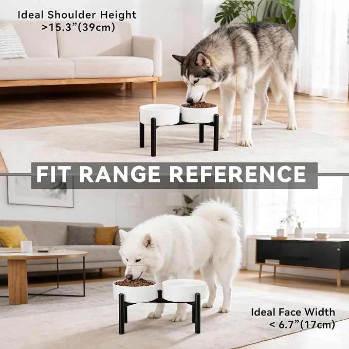 Dog Bowls Elevated - Ceramic Raised Dog Bowl with Non Slip Steel Stainless Stand - No Spill and Heated Feeding Station - Food and Water Dish Set for Medium to Large Pet - Each Holds 7.5 Cups – Green