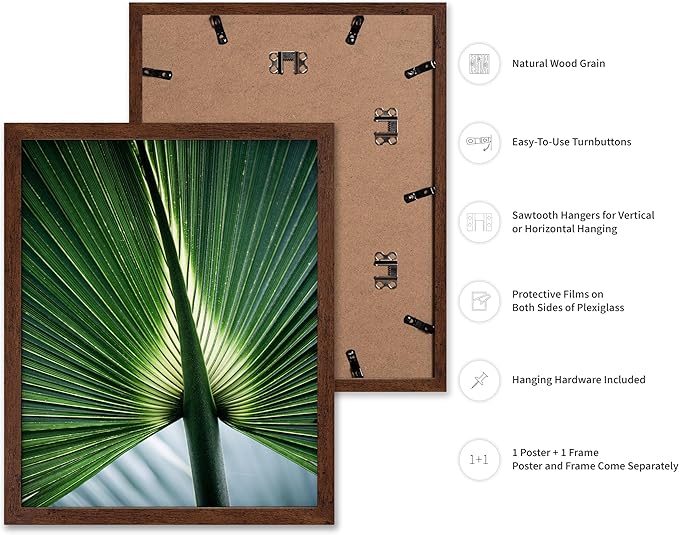 Monem Art Tropical Palm Leaf Macro Photography Print - Minimalist Botanical Nature Art Poster - Wall Decor for Living Room, Bedroom or Office - 12x16 Brown Framed Wall Art by Mareike Bohmer