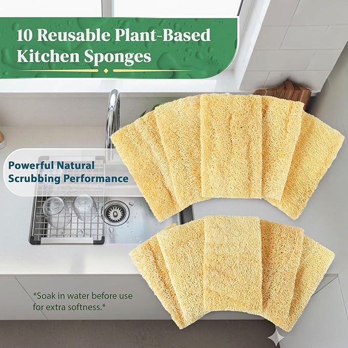 Natural Loofah Kitchen Sponge (XL - 10 Pack) - Natural Sponges for Dishes - Eco Friendly and Compostable Sponges - Biodegradable Plant Based Kitchen Dish Sponge - Plastic Free Dish Scrubber
