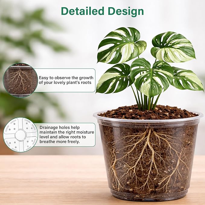 Bluepro 20 Pack 8/6/5/4/3.5 Inch Reinforced Large Clear Nursery Pots with Drainage Hole, Transparent Variety Pack Plastic Plant Pot for Vegetable Propagation, Root Cutting, Seed Starting