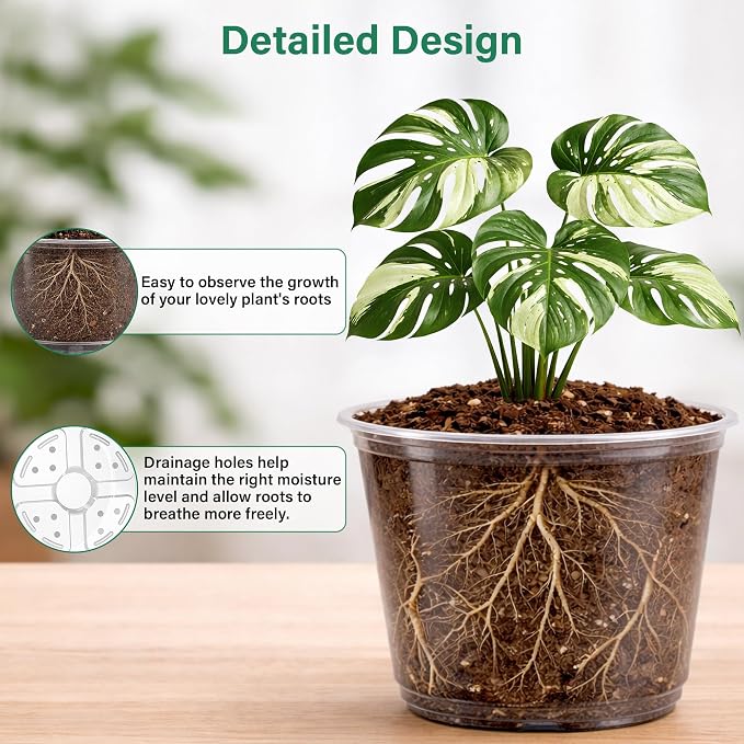 Bluepro 16 Pack 10/8/6/5 Inch Reinforced Large Clear Nursery Pots with Drainage Holes, Transparent Variety Pack Plastic Plant Pot for Vegetable Propagation, Root Cutting, Seed Starting