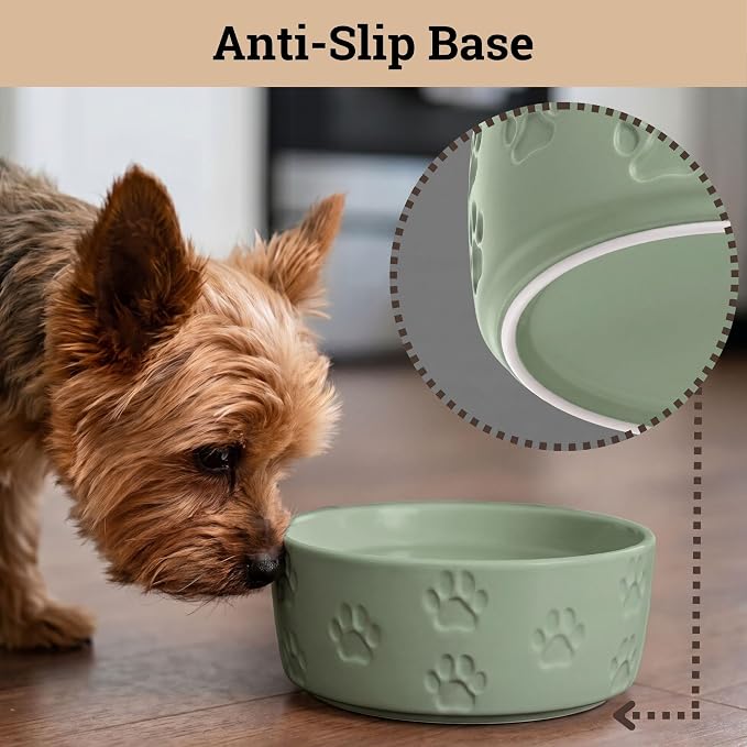 Ceramic Dog Bowl Set of 2 with Anti-Skid Base - 5" Wide x 2" Tall Ceramic Dog Bowls for Small Dogs - 2 Cup Capacity Food and Water Bowls for Dogs - Rubber Bottom Pet Bowl Set of 2 for Small Pets
