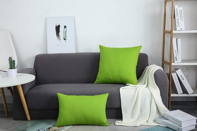 TangDepot 100% Cotton Solid Throw Pillow Cover 20x20 Apple Green | 100% cotton, same-color zip, machine wash & air dry. For living room, bedroom, office, car. 42 colors, 262 sizes. Cover only.