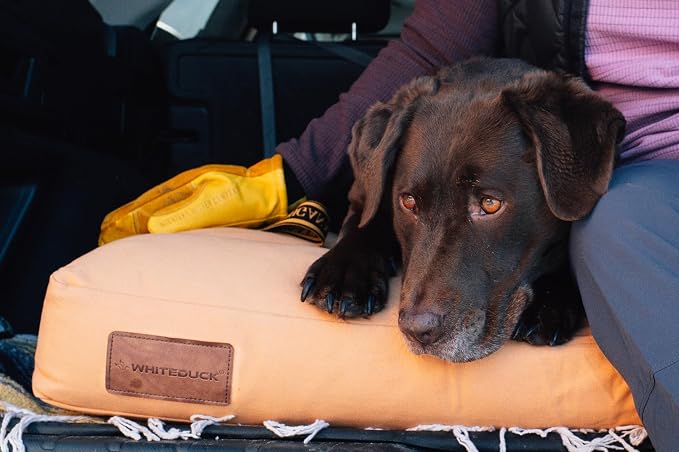 WHITEDUCK Outdoor Dog Bed Heavy-Duty 12oz Canvas, Water-Repellent Cotton, Machine Washable Removable Cover with Full-Length Zipper, Dog Bed for Large Dogs & Crate, (Black) 35" Lx20 Wx4.3 th (M)