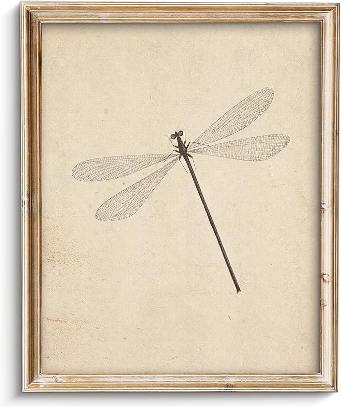 Vodefoad Vintage Dragonfly Sketch Art Print, Neutral Insect Animal Wall Decor, Antique Dragonfly Drawing Canvas Oil Painting, Minimalist Animal Wall Decorations, Retro Artwork Pictures for Gallery Bedroom Living Room Decor - 8x10Inch Unframe