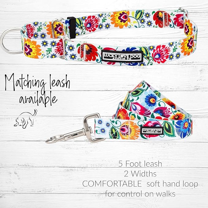 Lucky Love Dog Martingale Dog Collar & Leash - Adjustable, No-Slip, Durable, Comfortable, Soft Webbing, & Stylish Patterned Collar & Leash Set for Male and Female Dogs - Ladybird Combo, Large