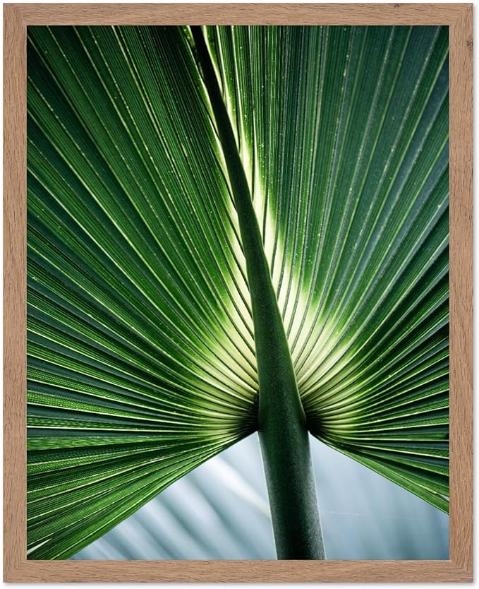 Monem Art Tropical Palm Leaf Macro Photography Print - Minimalist Botanical Nature Art Poster - Wall Decor for Living Room, Bedroom or Office - 12x16 Beige Framed Wall Art by Mareike Bohmer