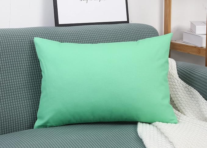 TangDepot Handmade Decorative Solid 100% Cotton Canvas Throw Pillow Covers/Cushion Covers, 45 Colors Available - (12" x 20" , Mint Green, 1 Count (Pack of 1)) | 100% cotton, same-color zip, machine wash & air dry. For living room, bedroom, office, car....