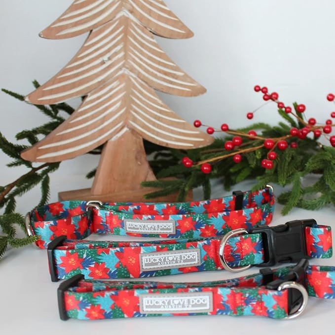 Lucky Love Dog - Adjustable Dog Collar with Easy Click Noel for Medium, Durable, & Comfortable for Male & Female Dogs, Pet Collar for Puppies & Adult Dogs - Noel, Medium