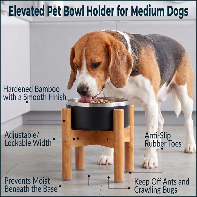 Dog Bowl Stand for Small-to-Medium Dogs - Adjustable, Easy Fold-Down, Comes with Foot Pads and Assembly Tool - Bamboo
