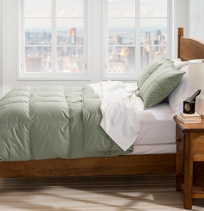 Cuddledown Chroma Down Alternative Comforter | Soft, Lofty, Cloudlike | Hypoallergenic | 100% Cotton Sateen Shell | Handcrafted | Duvet Insert | Oeko-TEX Certified | Queen | All Season | Meadow