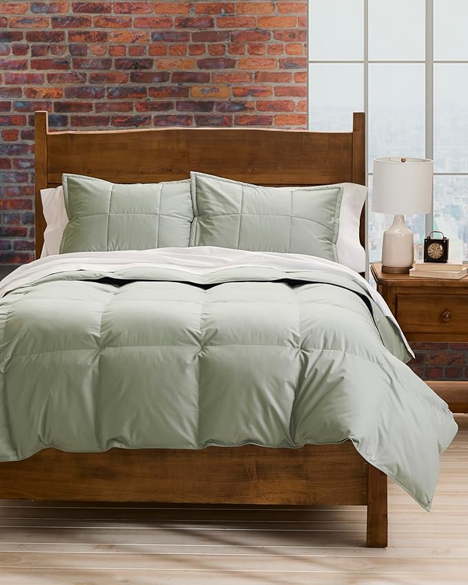 Cuddledown Chroma Down Alternative Comforter | Soft, Lofty, Cloudlike | Hypoallergenic | 100% Cotton Sateen Shell | Handcrafted | Duvet Insert | Oeko-TEX Certified | Queen | Winter | Meadow