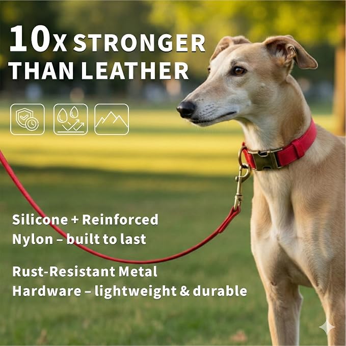 Silicone Dog Collar and Leash Set, Waterproof & Odor-Proof Puppy Collar for Small Dogs, Soft Flexible Leather-Look Dog Collars, Durable Thick Adjustable Pet Collar (Red, Small (11-15.5" Neck))