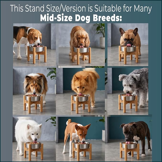 Dog Bowl Stand for Small-to-Medium Dogs - Adjustable, Easy Fold-Down, Comes with Foot Pads and Assembly Tool - Bamboo