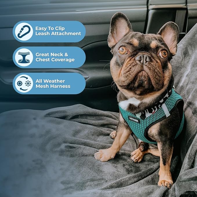 Best Pet Supplies Voyager Step-in Air All Weather Mesh Harness and Reflective Dog 5ft Leash Combo with Neoprene Handle, for Small, Medium and Large Breed Puppies - Set (Turquoise 2-Tone), Small