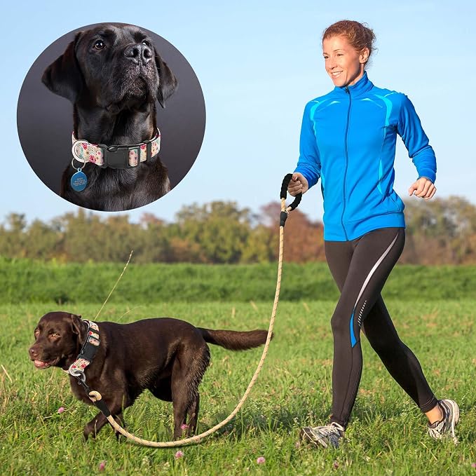 Ladoogo Reflective Dog Collar Padded with Soft Neoprene Breathable Adjustable Nylon Dog Collars for Small Medium Large Dogs (Medium (Pack of 1), Vanila/Pink Floral Collar+Leash)
