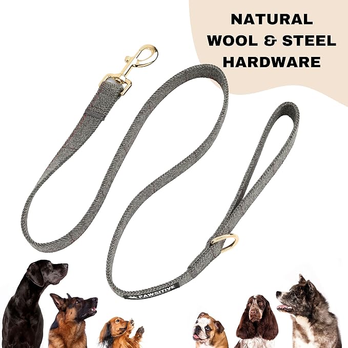 Pawsitive Wool Dog Collar - Hypoallergenic Dog Collar, Great Dog Collar for Sensitive Skin, Soft Collar for Dogs, Soft Organic Dog Collar Eco-Friendly (Large, Gray & Leash)