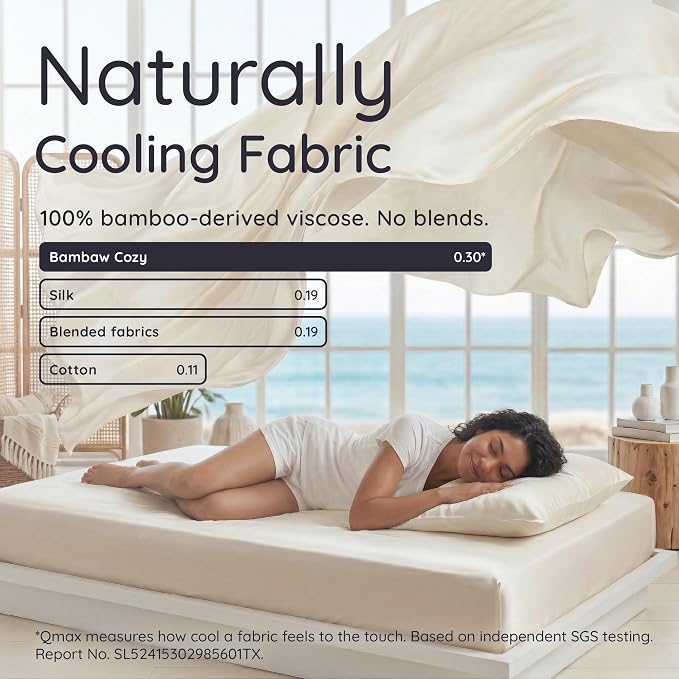 Bambaw 100% Viscose Derived from Bamboo Pillowcases Queen Size – Set of 2 Cooling Pillow Cases Queen Size with Envelope Closure, Super Soft Pillow Cases, Anti Acne Pillow Case (Dream Blue)