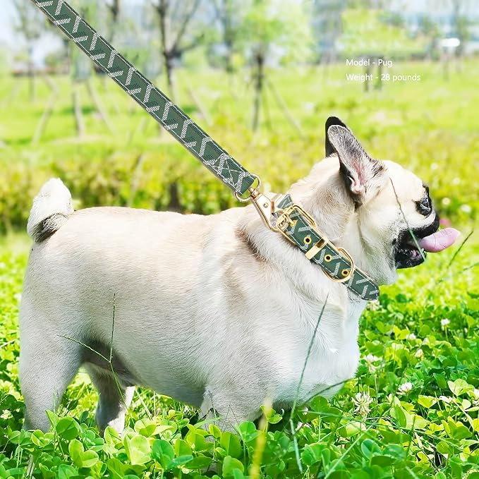 Leather Dog Collar and Leash Set, Check Pattern Dog Collar Leashes Metal Buckle Adjustable Durable for Small Medium Large Dogs (Green, XL(18-22IN))